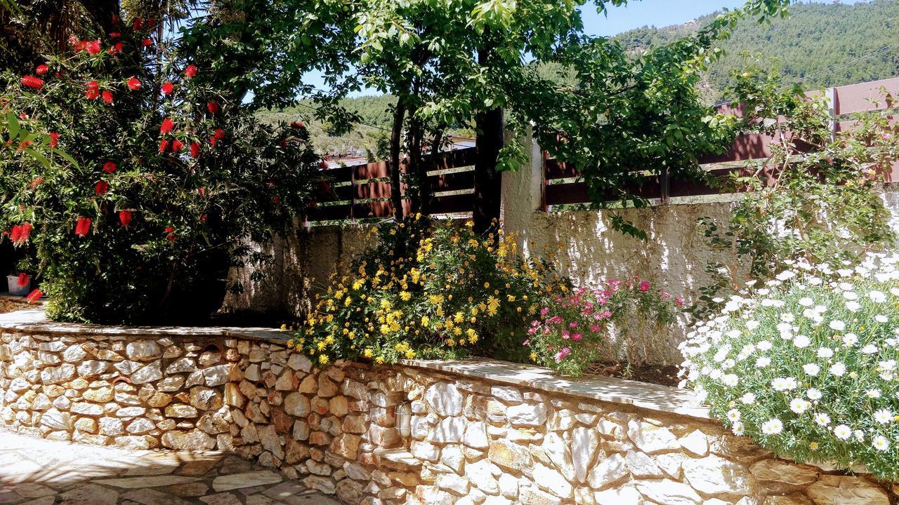 Maria Studios Skiathos Экстерьер фото