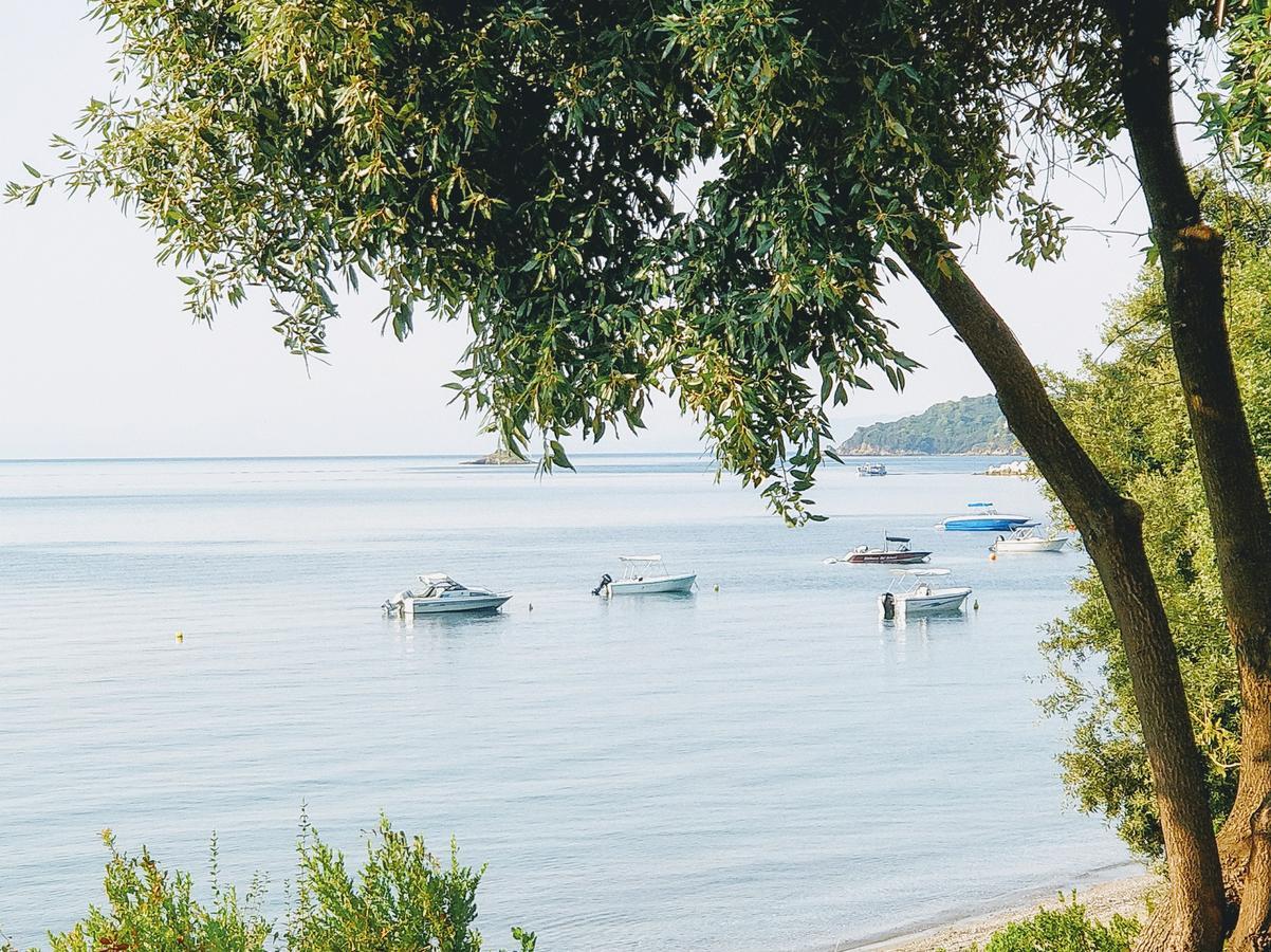 Maria Studios Skiathos Экстерьер фото